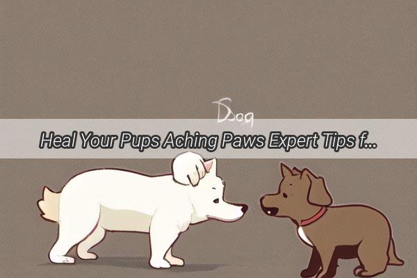 Heal Your Pups Aching Paws Expert Tips for Treating Red Swollen Dog Claws